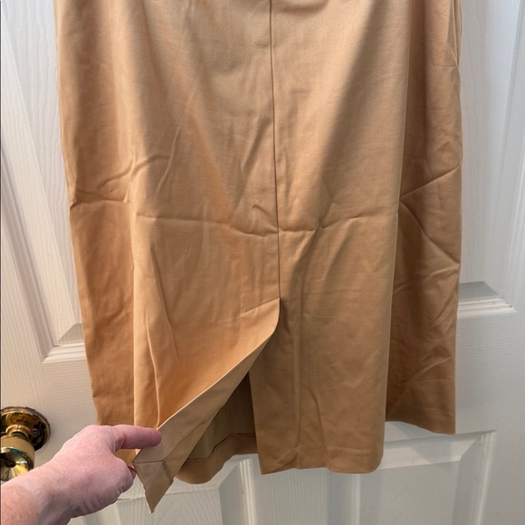 The Limited A-Line Tan Skirt - Picture 3 of 4